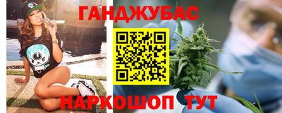 спиды Гай