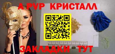 спиды Гай