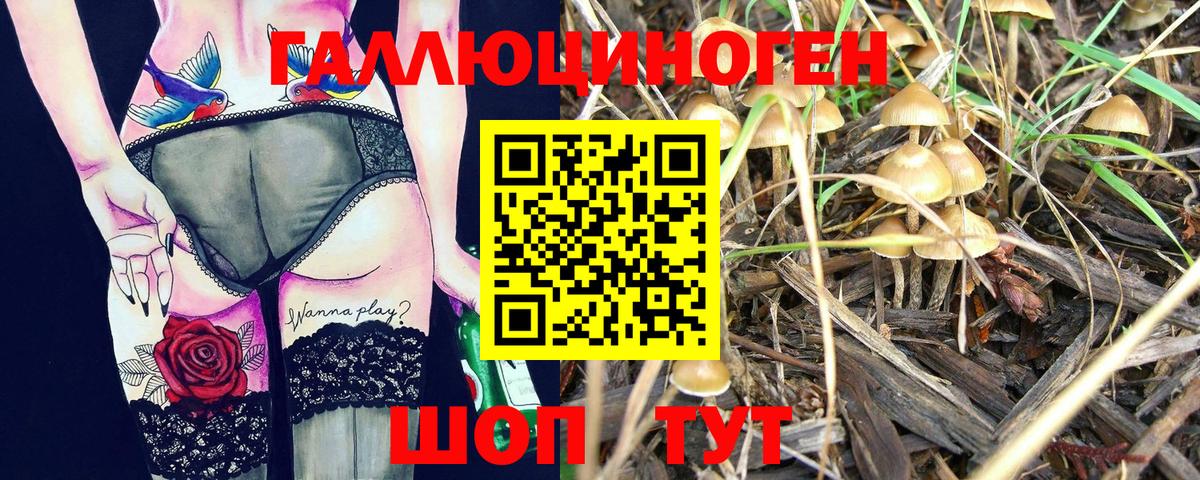 Гудермес  Галлюциногенные грибы прущие грибы  Вход с VPN  Псилоцибиновые грибы ЛСД 